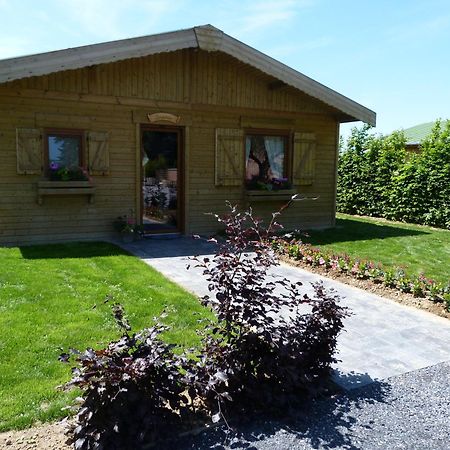 Le Domaine Des Fagnes Villa Sains-du-Nord Buitenkant foto