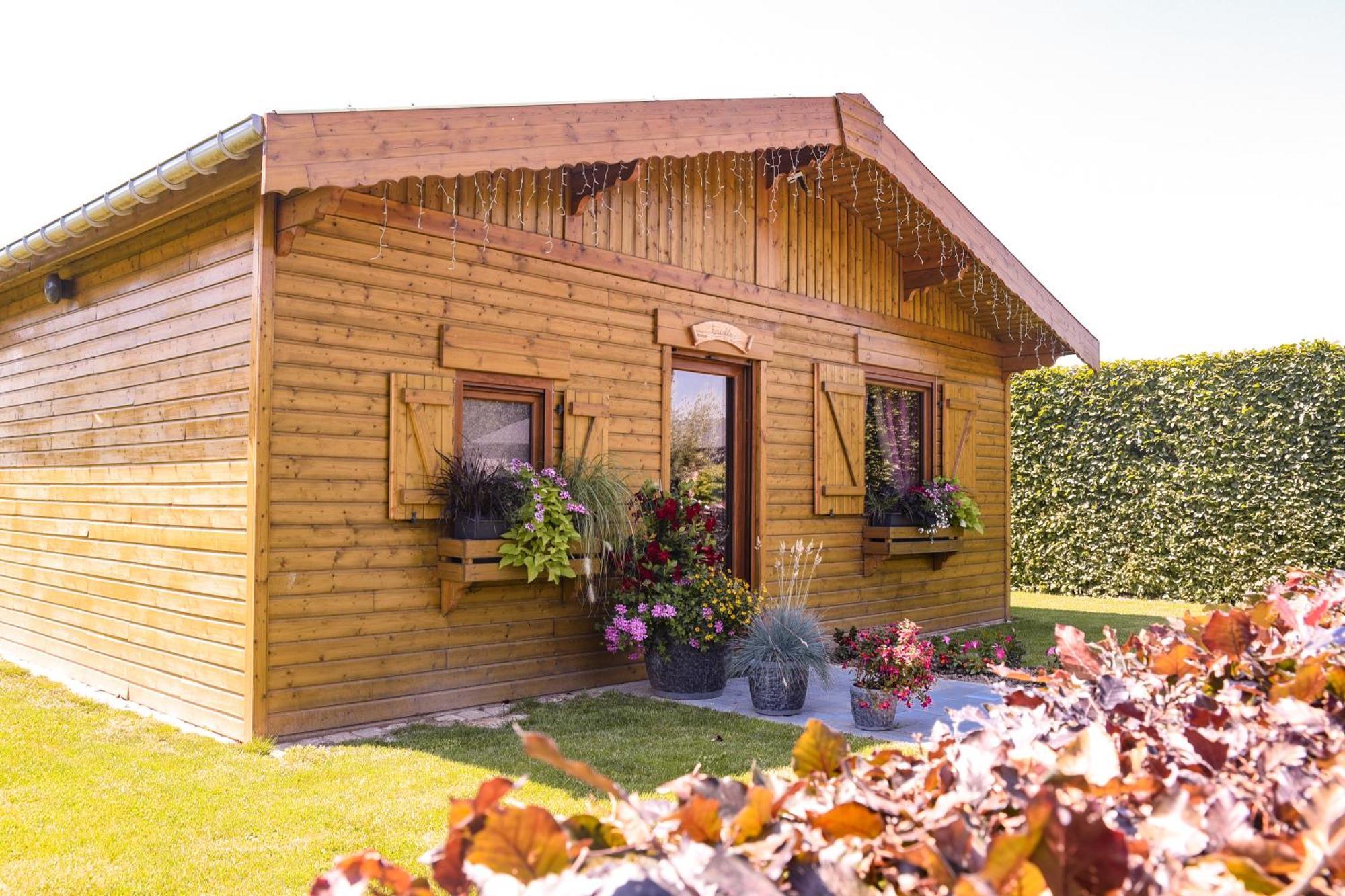Le Domaine Des Fagnes Villa Sains-du-Nord Buitenkant foto